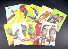 LOTTO DI 11 CARTOLINE