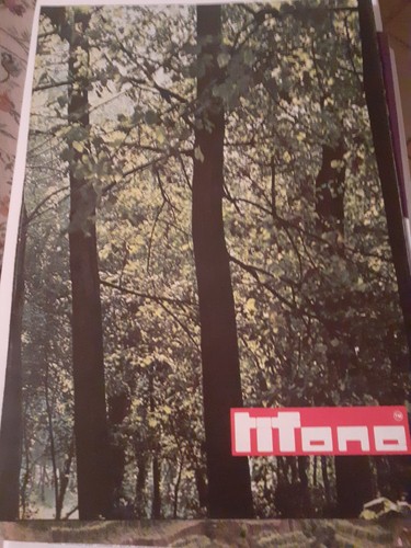 Brochure depliant gamma - depliant,