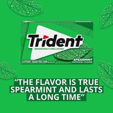 Trident Spearmint Gum Senza