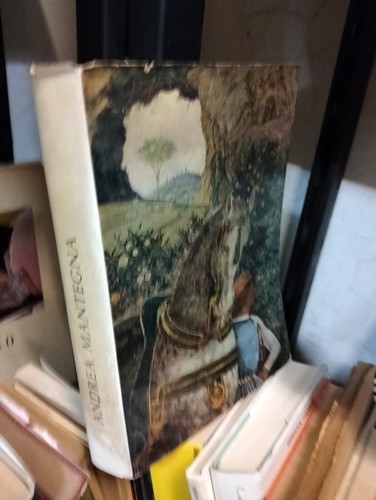 Libro andrea mantegna mostra - libro,