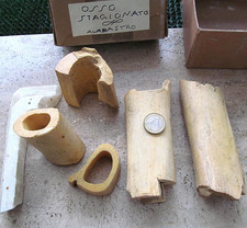 Lotto ANTICO OSSO STAGIONATO