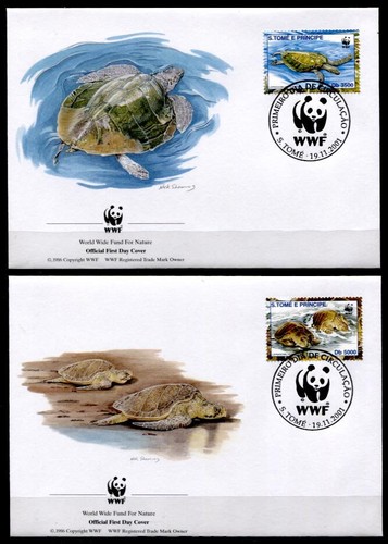 Tartarughe wwf tartaruga - tartarughe,