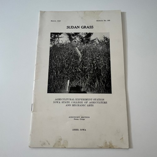 Sudan grass 1926 ames iowa - sudan,