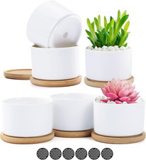 Set Di 6 Vasi Di Fiori Bianchi