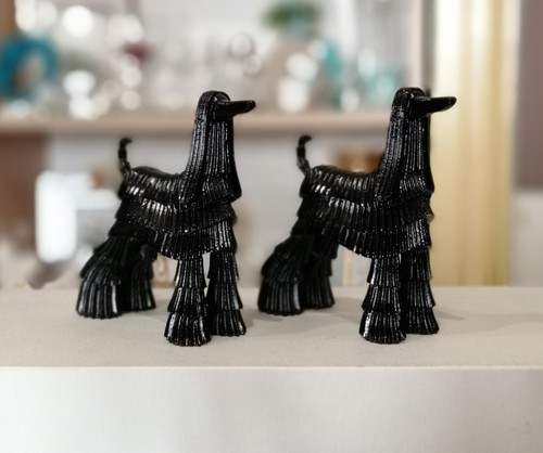 Coppia cane levriero afgano - cane,