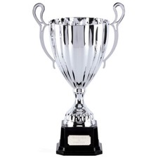 Tazza argento (mezzo prezzo) 2