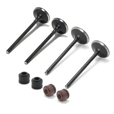 CRF 250R Valvole Aspirazione