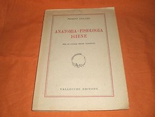 persio falchi anatomia