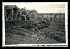 Foto WW2 Nachl. Th.Lampel