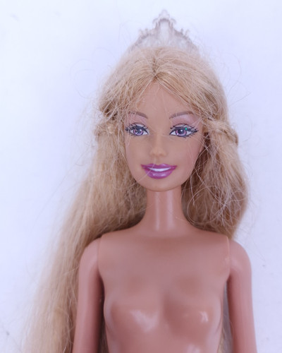 Barbie raperonzolo wedding - raperonzolo's,