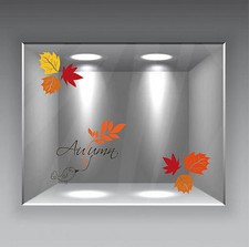 vetrofanie vetrine collezione