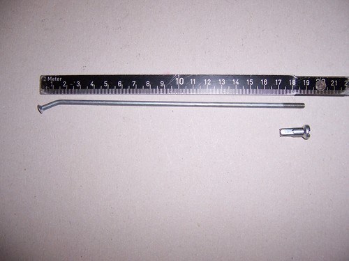 Raggi nipplo ruota - 1x,