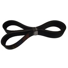 855122 Cinghia di trasmissione