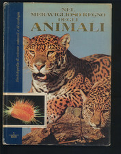 Nel Meraviglioso Regno degli