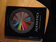 iGenetics: A Molecular