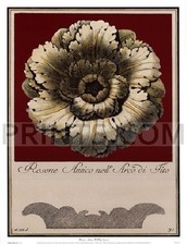 Guerra Rosone Antico III