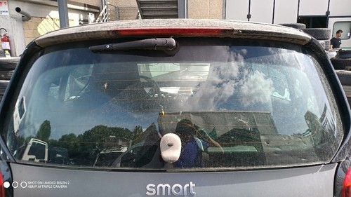 Lunotto per smart fortwo - lunotto,