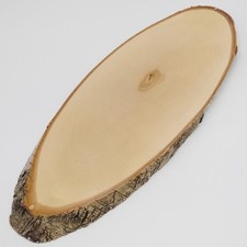 Betulla Red Deer Af 60 CM Cervo Targhetta Scudo Trofeo Corna Baumschild Natura