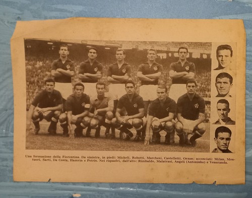 Fiorentina squadra - fiorentina,