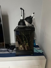 TERRARIO PER RETTILI GIGANTERRA 30x30x45