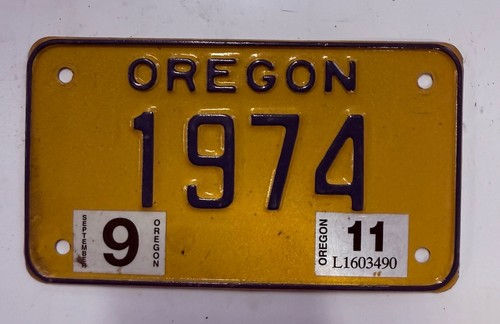 American license plate - plate, man
