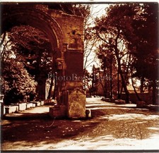 Francia Arles Alyscamps