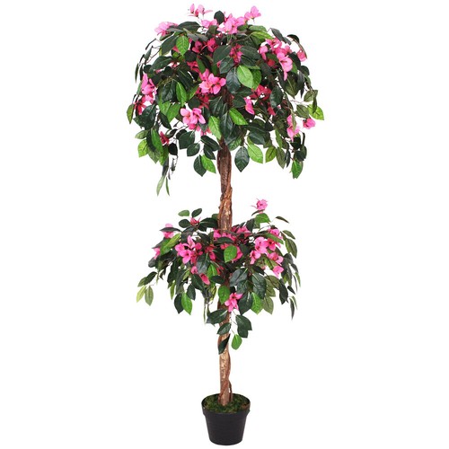 Fiore trifoglio bouganville