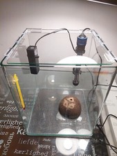 Acquario Amtra Nanotank 20 + Accessori