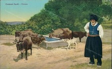 ct255 cartolina costumi