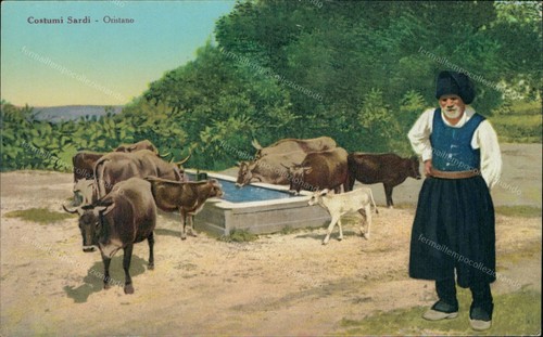 Ct255 cartolina costumi - cartolina,