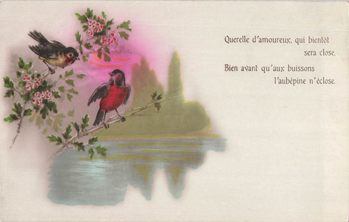 Illustree querelle - illustree,