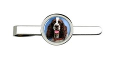 Inglese Springer Spaniel