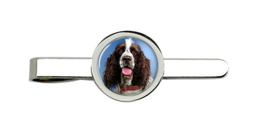 Inglese springer spaniel - inglese,