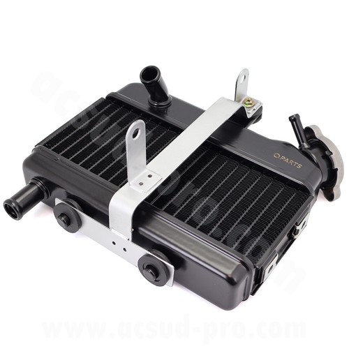 Radiator scooter adattabile
