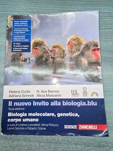 Nuovo invito alla - il,
