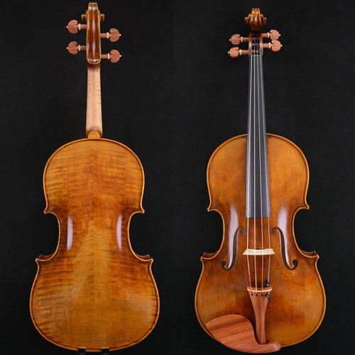 Master viola giuseppe - 16',