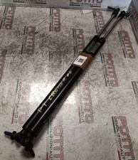 Asta ammortizzante portello