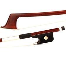 Maestro Antico Pernambuco