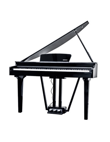 Echord 10b digital piano - gp-10b,