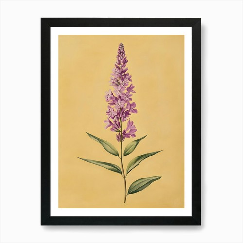 Stampa artistica lupin fiori - artistica,