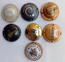 CAPSULE MAGNUM CHAMPAGNE VARI