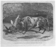 Stampa antica Corrida Toro Arena Torero Montès Madrid Spagna Xilografia 1850