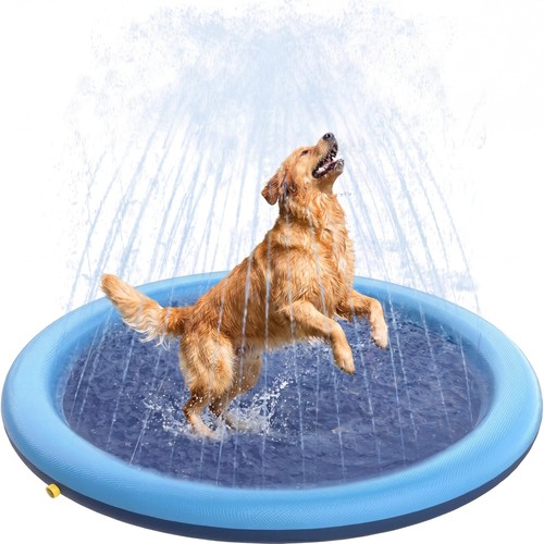 Cnmtcco piscina per - piscina, cani
