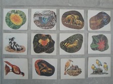 Lotto 12 figurine "Incontro