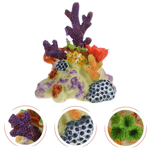 Acquario corallo mini - acquario,