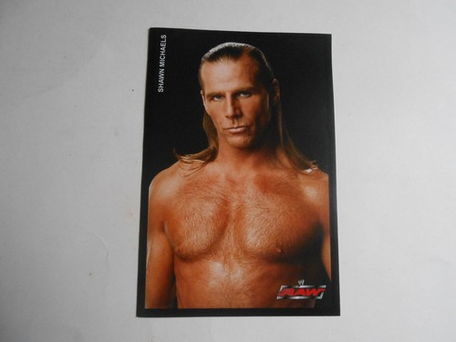 Figurina wrestling edigamma - figurina,