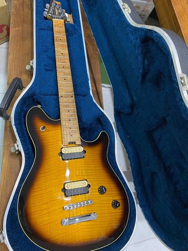 Custodia rigida chitarra