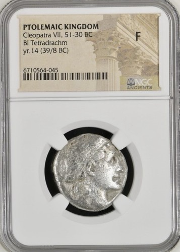 The cleopatra vii - the,