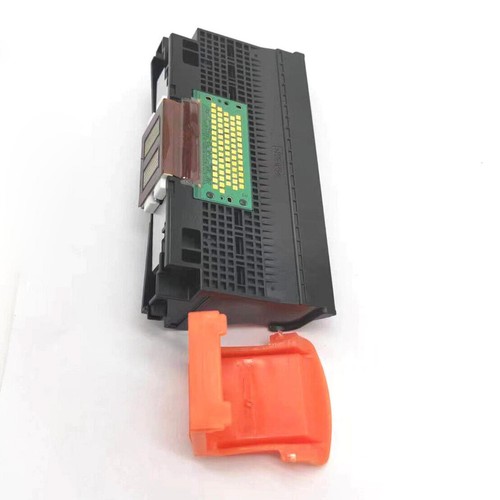 Qy6 0077 testa - stampa, for