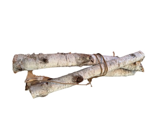 Tronchi legno di betulla - tronchi,